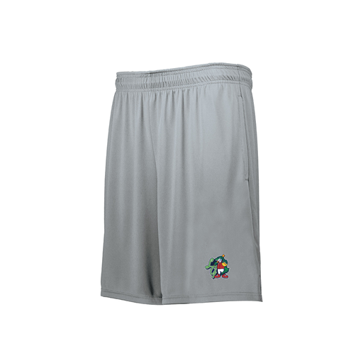 [229511.099.XS-LOGO2] Decker Men's Swift Short (Adult XS, Silver, Logo 2)